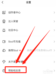 soul被禁言如何解决