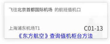 如何在东方航空查看登机柜台