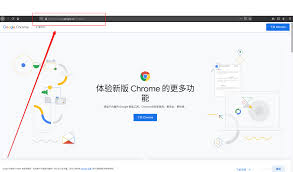 ubuntu如何安装chrome浏览器
