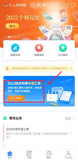 2023个人所得税退税何时开始