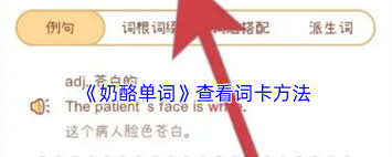 奶酪单词如何查看词卡
