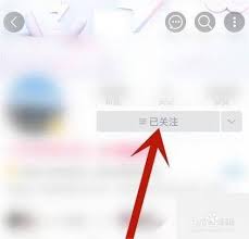 哔哩哔哩如何设置特别关注