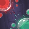 2020细胞扩张战争 v1.2.13