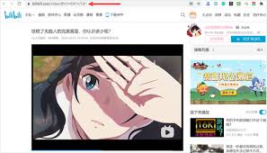 如何下载bilibili完整视频