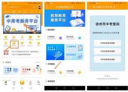 苏服办如何查询中考分数