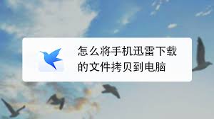 如何将手机迅雷下载的文件传输到电脑