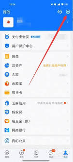 支付宝安全保护工具在哪