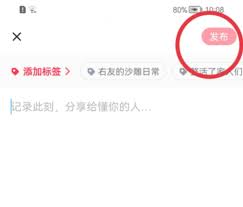 如何在最右发布动态