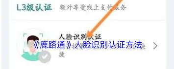 鹿路通如何查重名