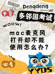 多邻国为何不出声音