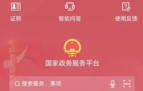 国家政务服务平台如何操作
