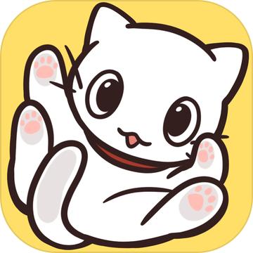 猫咪饲养日常 1.06