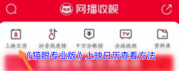 猫眼专业版如何查看电影上映天数