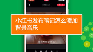 小红书笔记如何添加背景音乐
