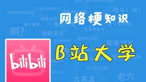 哔哩哔哩b站是什么含义
