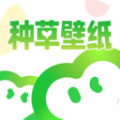 种草壁纸 1.0.1