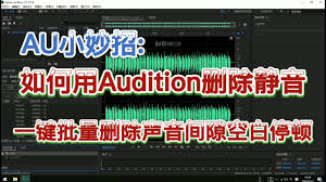 Audition如何删除空轨道