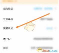 代练丸子如何查看实名认证