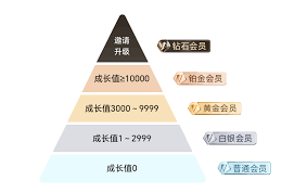闪送会员如何升级