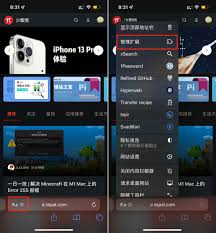 Safari扩展怎么管理