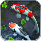 锦鲤鱼池3D动态壁纸(壁纸锦鲤主题工具)V1.66 安卓免费版 V1.4