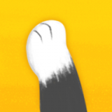 猫爪 0.0.49