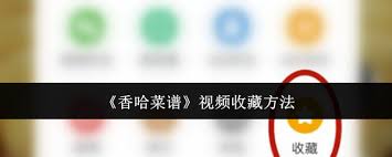 香哈菜谱视频如何收藏