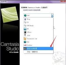 Camtasia如何导出视频