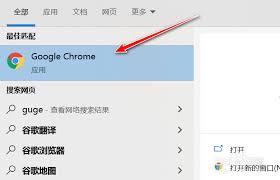 谷歌浏览器付款方式怎么设置