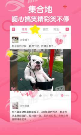 段友神评社免费版