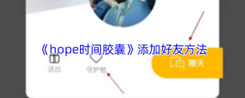 hope时间胶囊如何添加好友