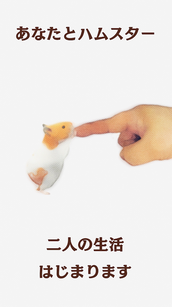 云仓鼠免费版
