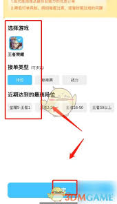 代练丸子如何查看能力标签