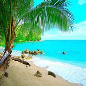 荒岛惊魂官网版 1.4