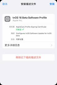 iPhone17promax如何关闭系统自动更新