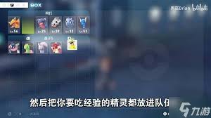 宝可梦传说ZA如何刷经验