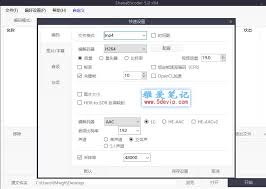 ShanaEncoder如何切换32位