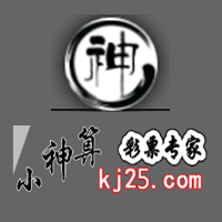 小神算Kj25精选高手v5.5.16