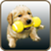 电子宠物狗 v1.2.3安卓版