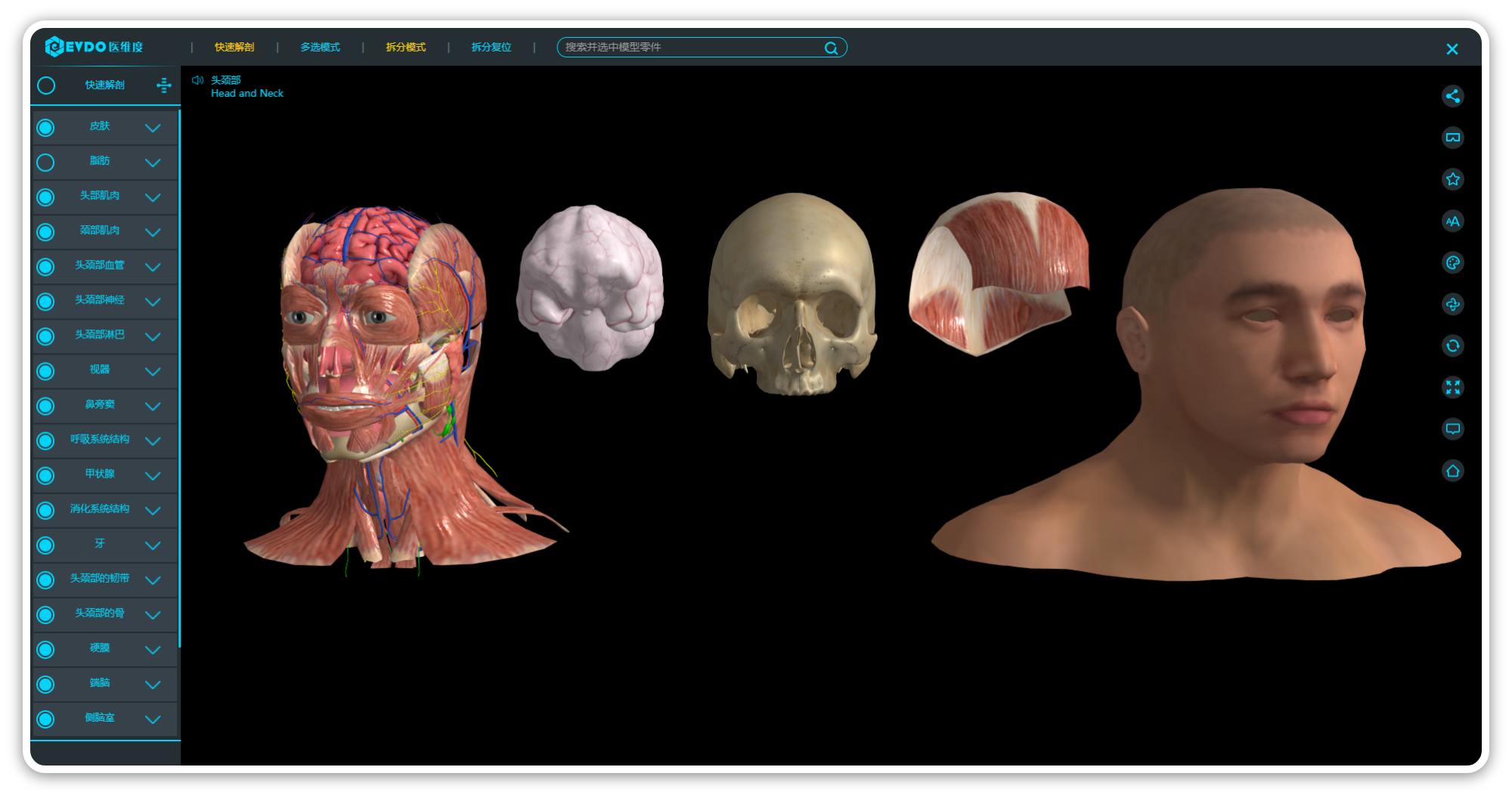 医维度3D解剖教学软件