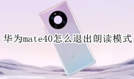 华为mate40屏幕朗读功能在哪关