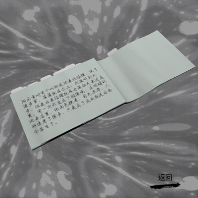 孙美琪疑案郎威账本留言在哪