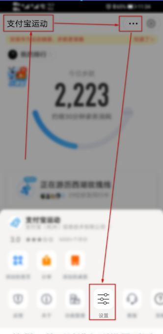 支付宝蚂蚁森林没有能量球怎么办