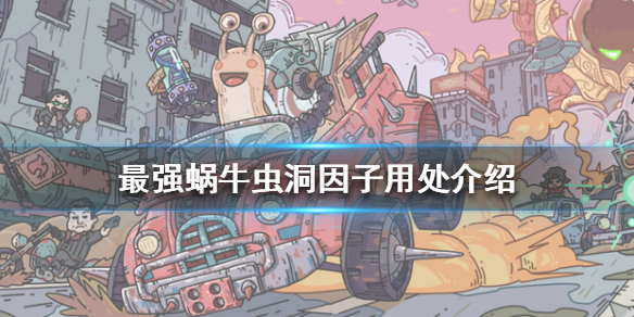 最强蜗牛虫洞因子是什么