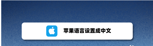 苹果12怎么把语言换成中文