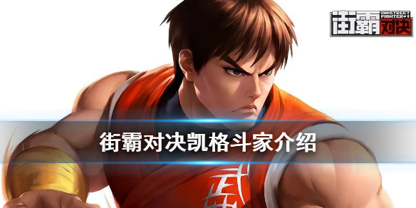 街霸对决凯厉害吗