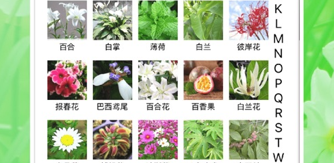 花草日记植物识别工具