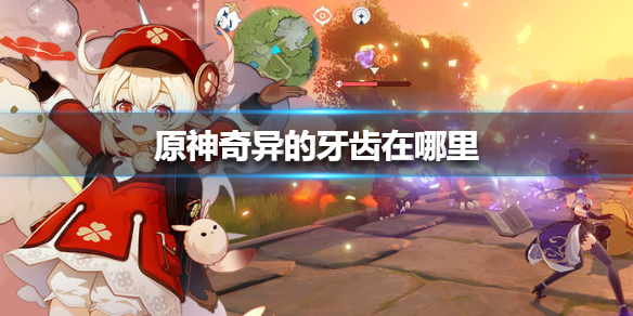 原神手游奇异的牙齿怎么得