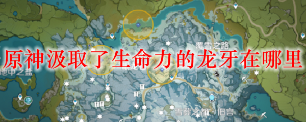 原神汲取了生命力的龙牙在哪