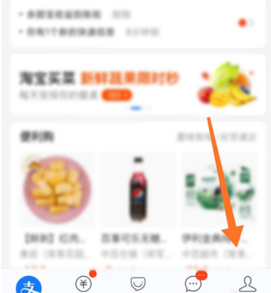 2020支付宝年度账单在哪看